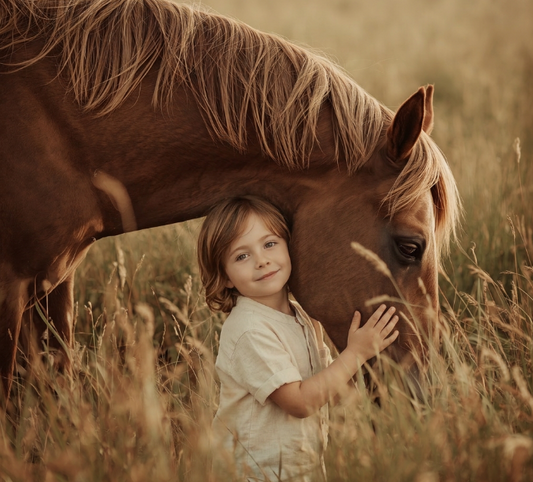 Horse Trail